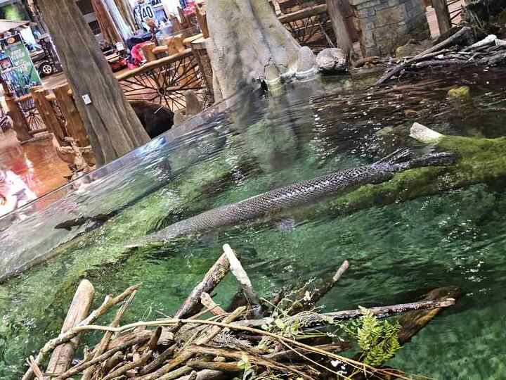 Trip photo 8