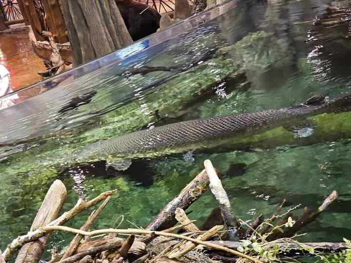 Trip photo 9