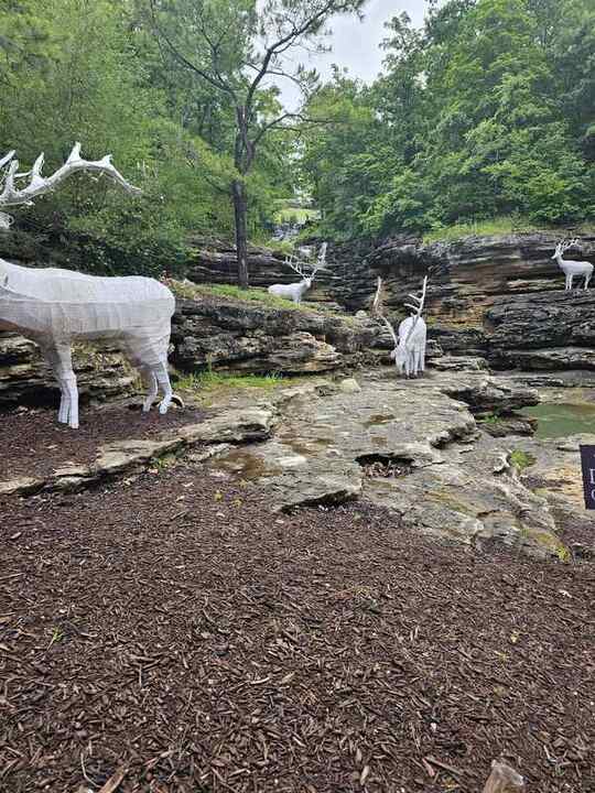 Trip photo 38