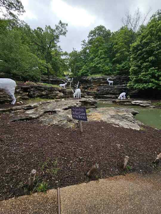 Trip photo 39