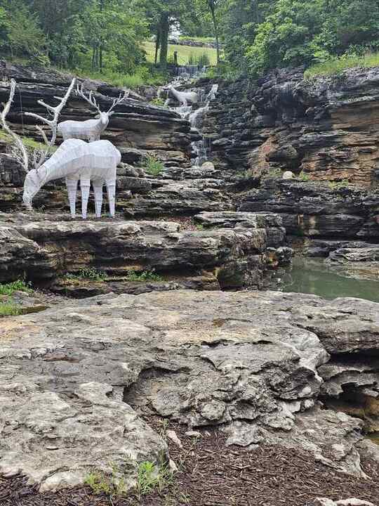Trip photo 40