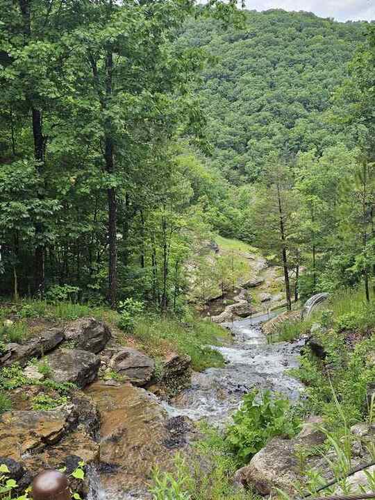 Trip photo 41