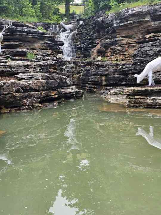 Trip photo 42