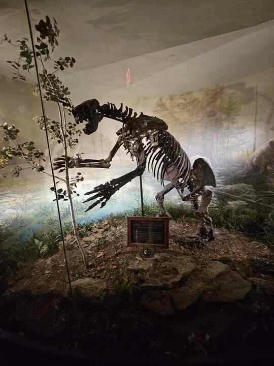 Trip photo 58