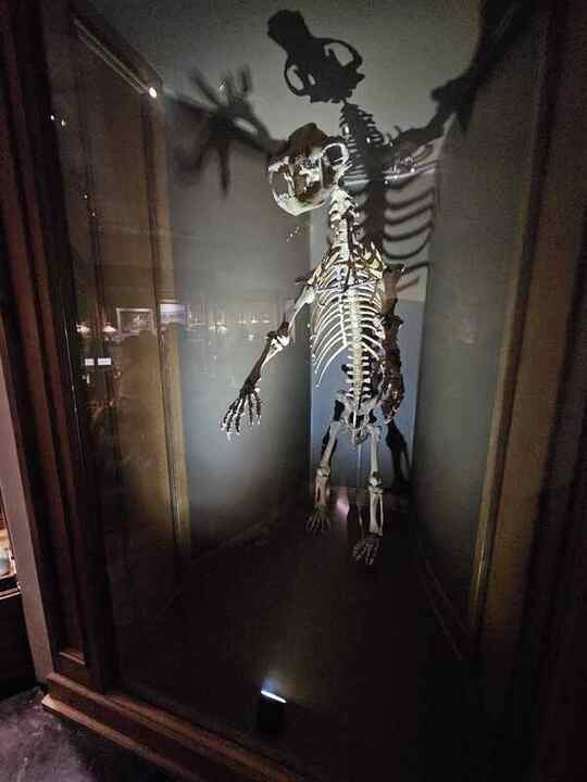 Trip photo 59
