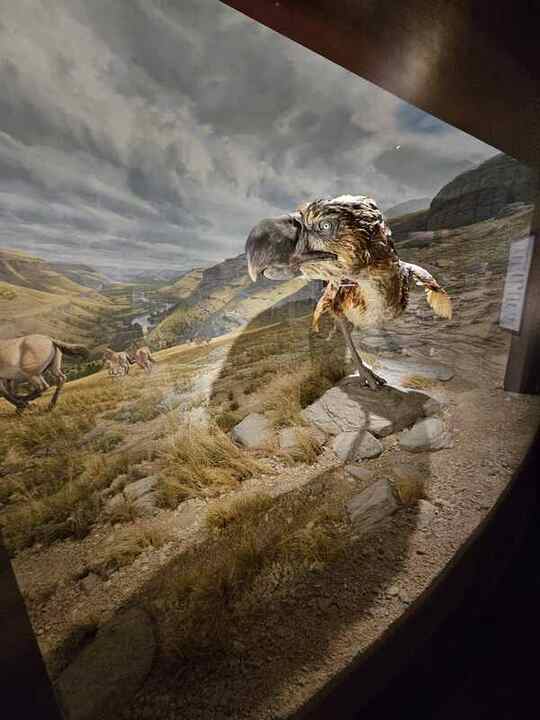 Trip photo 61