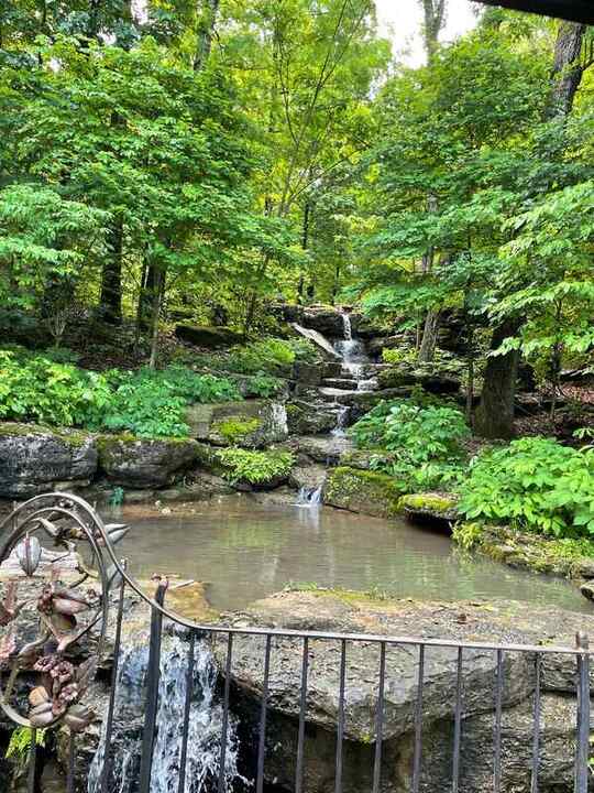 Trip photo 83