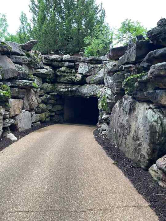 Trip photo 90