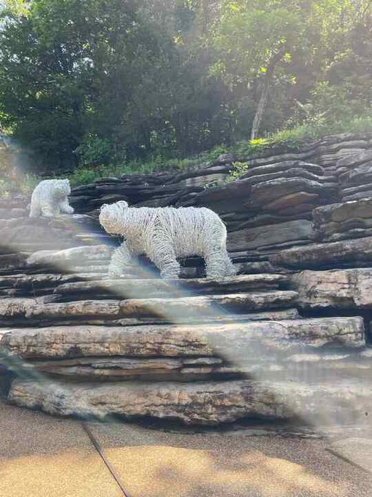 Trip photo 98