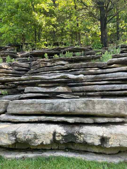 Trip photo 100