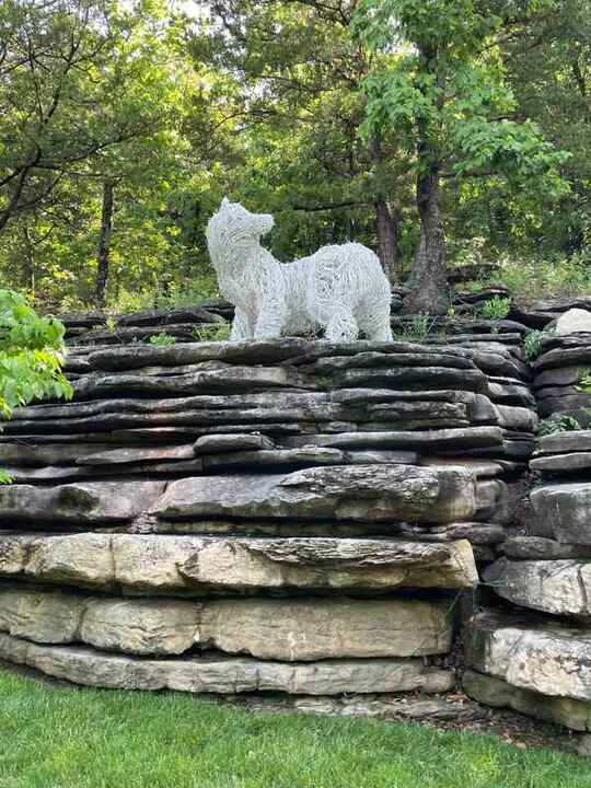 Trip photo 113