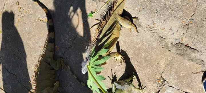 Trip photo 14