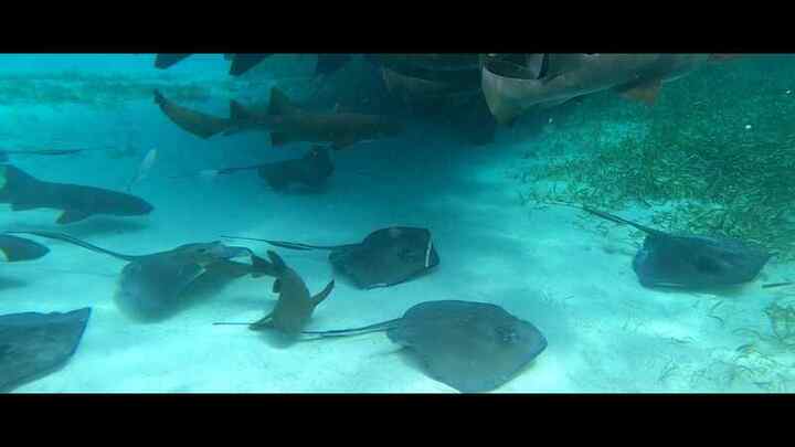 Trip photo 23