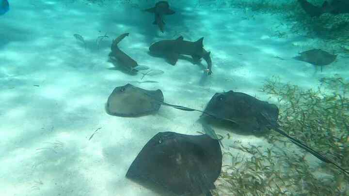 Trip photo 26