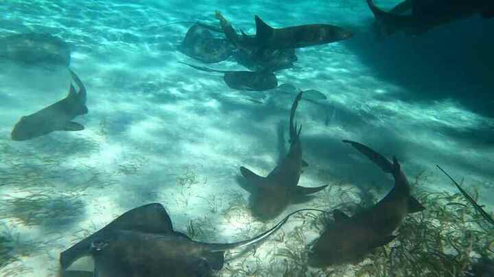 Trip photo 28