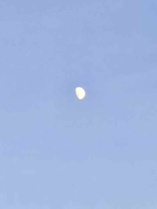Trip photo 41