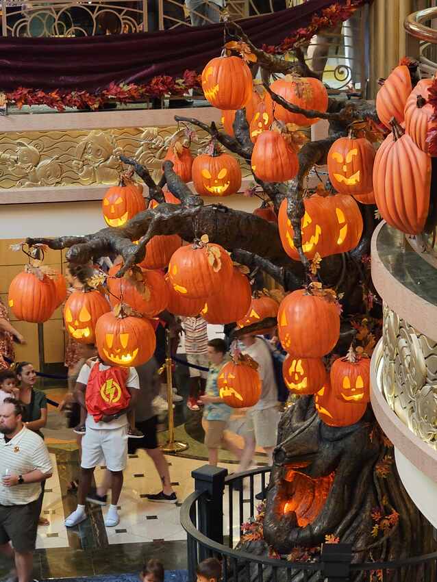 Disney Fantasy trip photo 19
