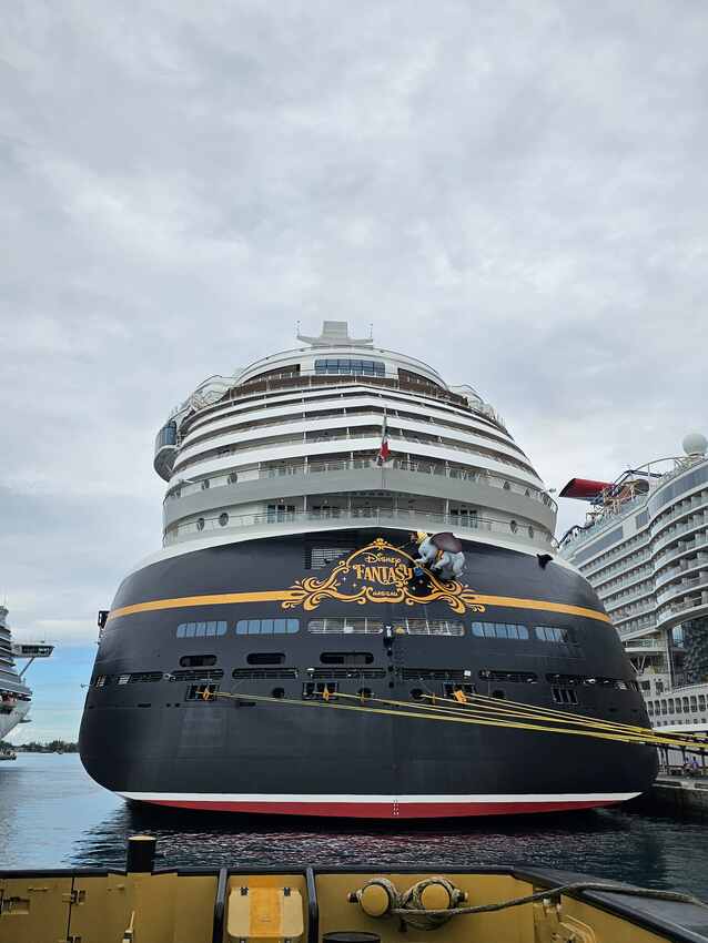 Disney Fantasy trip photo 25