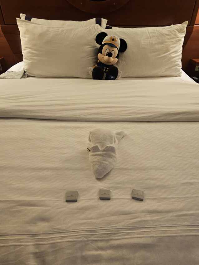Disney Fantasy trip photo 64