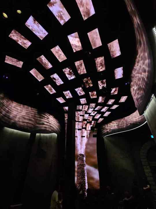 Trip photo 45