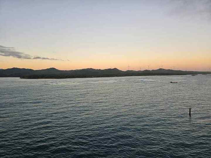 Trip photo 42