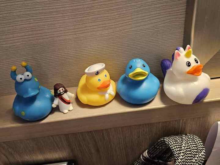 Trip photo 56