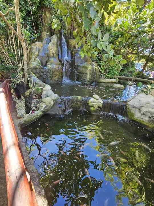 Trip photo 59