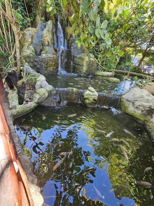 Trip photo 60