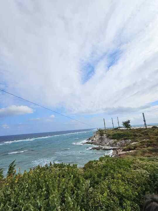 Trip photo 65