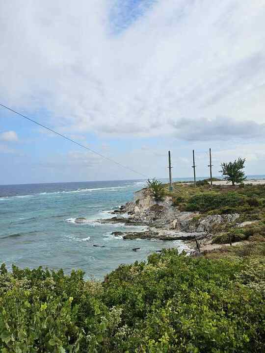 Trip photo 66