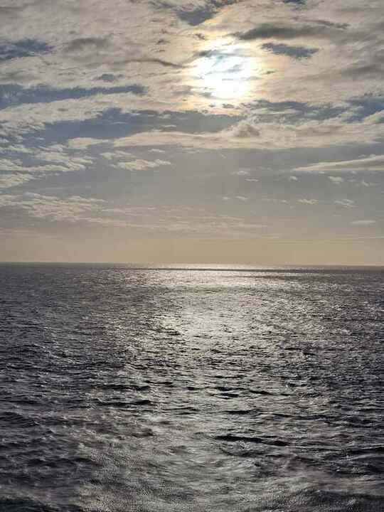 Trip photo 73