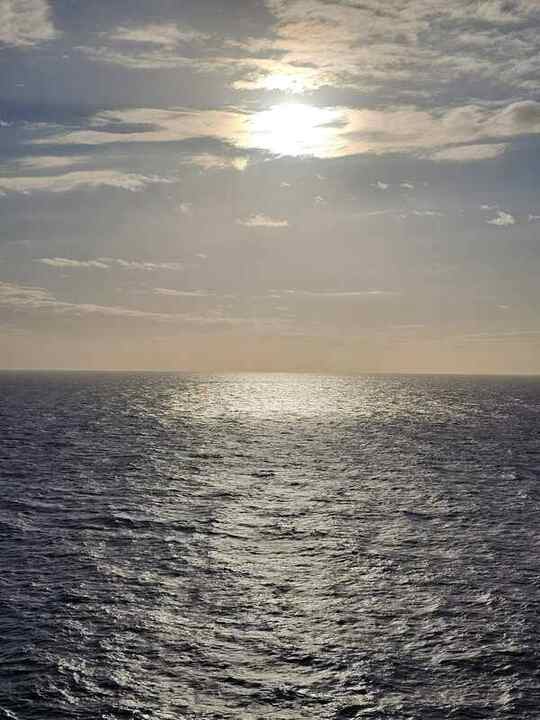 Trip photo 74